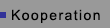 Kooperationspartner